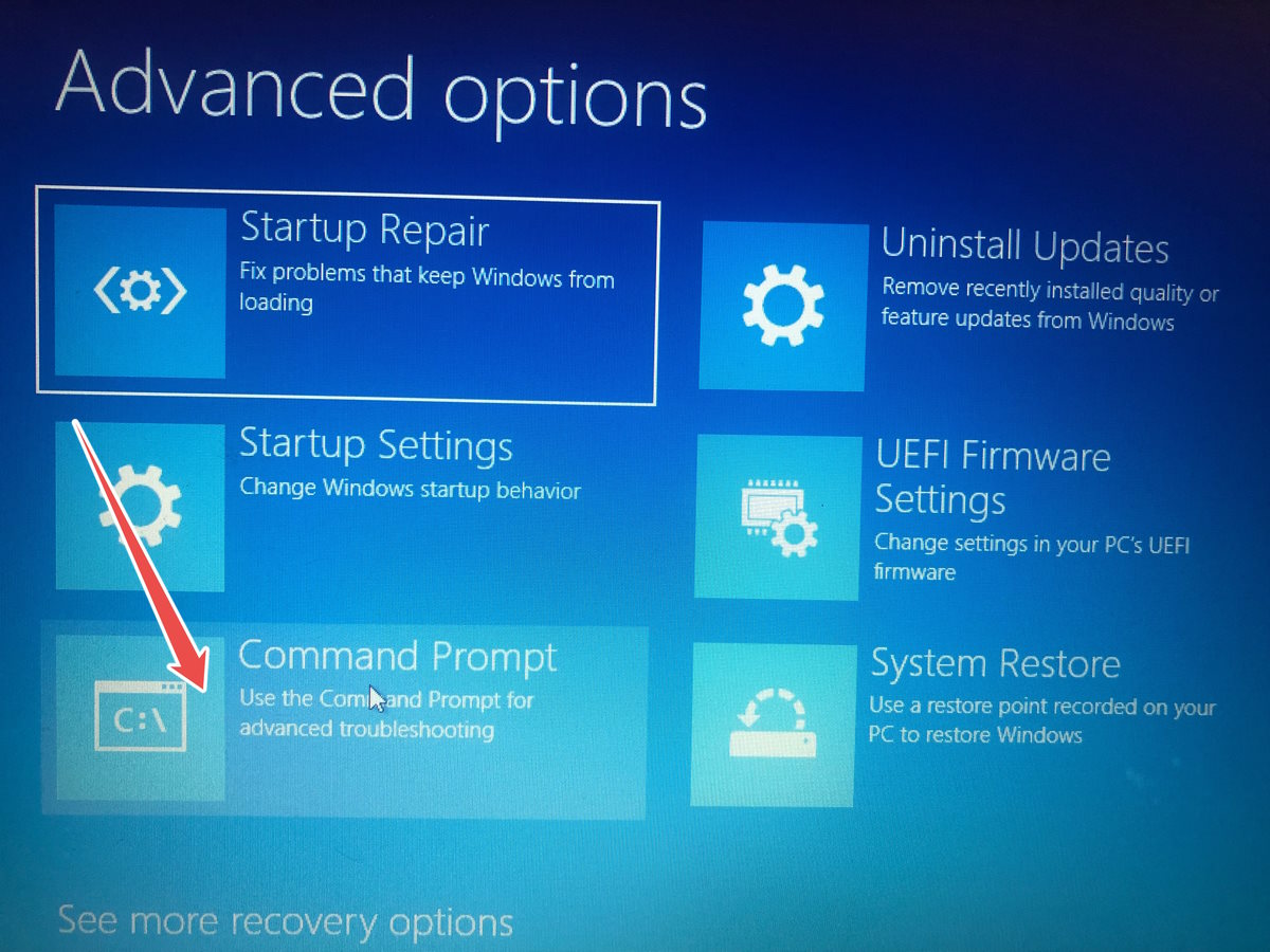 Selecting "Command Prompt" from Advanced options.