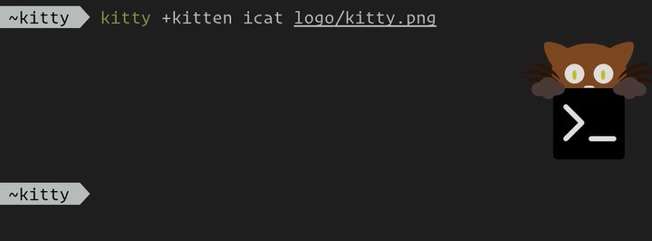 Best Terminal Emulators For Linux Kitty 2