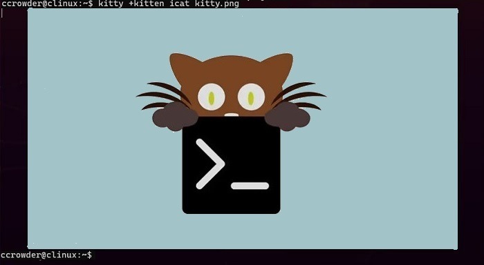 Best Terminal Emulators For Linux Kittye