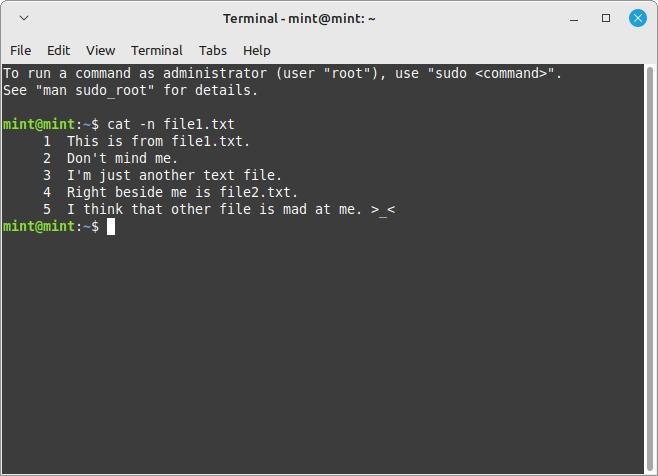 Linux Terminal Cat Command Flags N Flag