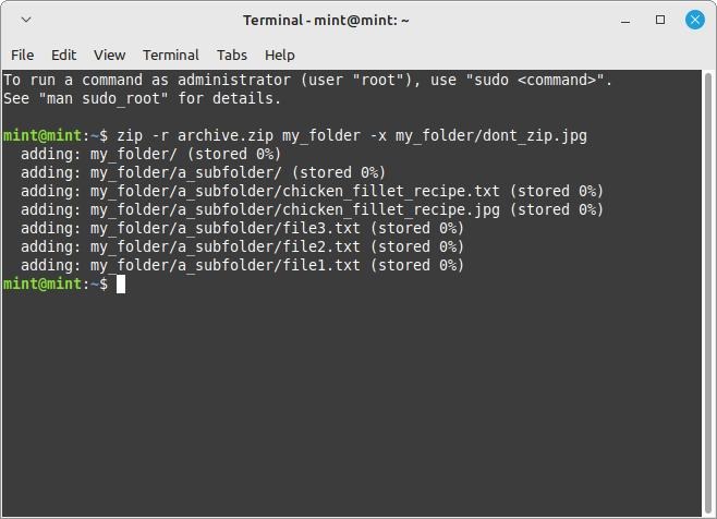 Linux Terminal Using The X Flag