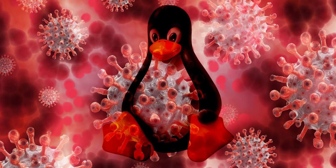 Linuxvirus Tux