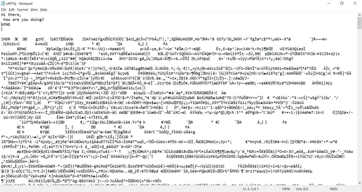 Notepad Concatenated Text And Png File Opened On Notepad