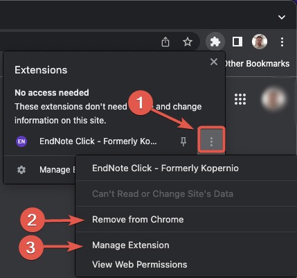 Playback Remove Or Manage Extension In Chrome