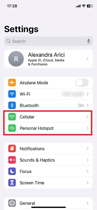 Clicking on "Cellular" under Settings on iOS device.