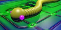 What Computer Worms Are and Why They’re Still Dangerous