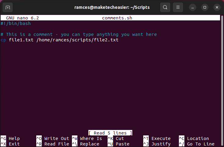 A terminal showing the comments on a bash script file.