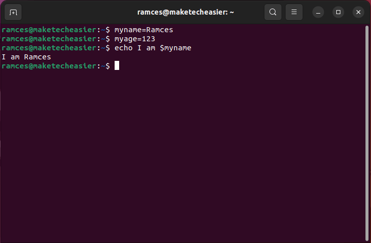 A terminal showing basic shell variables.