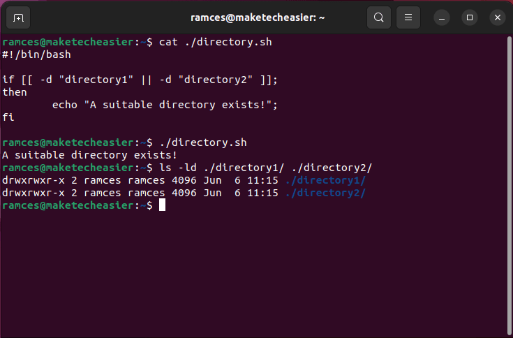 A terminal showing the OR operator between two directory detection tests.