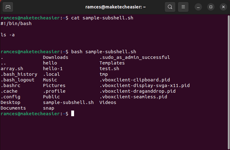 A terminal showing a simple command subshell.