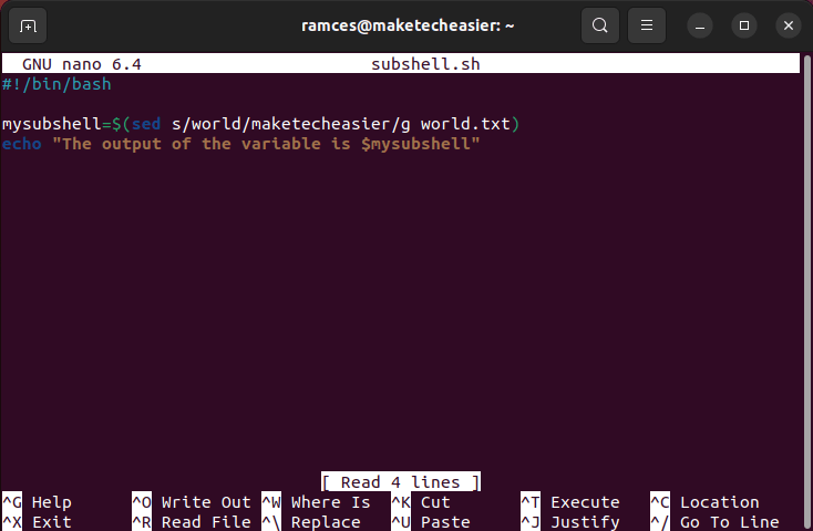 A terminal showing a simple subshell execution.