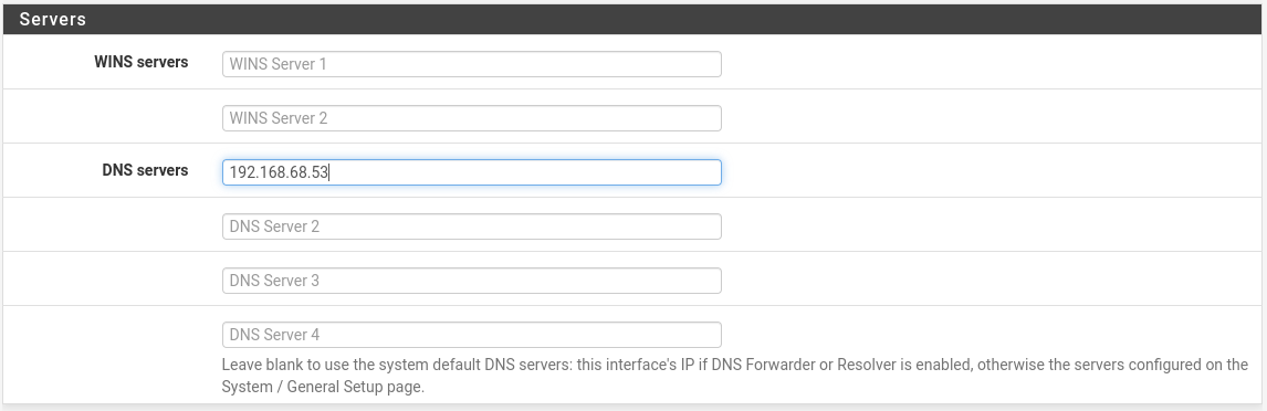 A screenshot of a router's DNS configuration page.