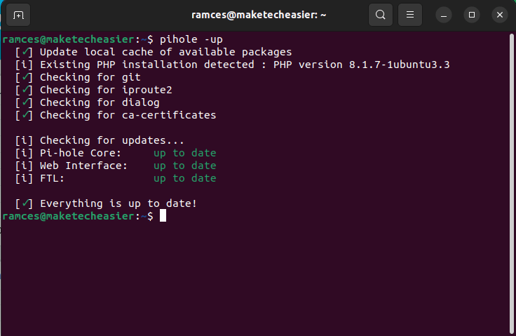 A terminal showing the update process for Pi-Hole.