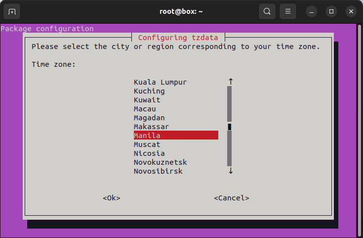 A terminal window showing a selection of timezone data.