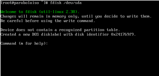 A screenshot of fdisk loading the sda disk.