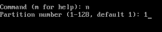 A screenshot of fdisk setting the first partition.