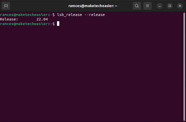 A terminal showing the output of the lsb_release file for the current distro version.